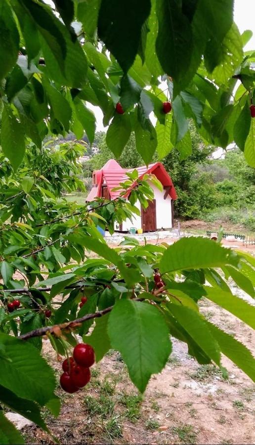 Krka Fairytale Little Castle Otel Skradin Dış mekan fotoğraf